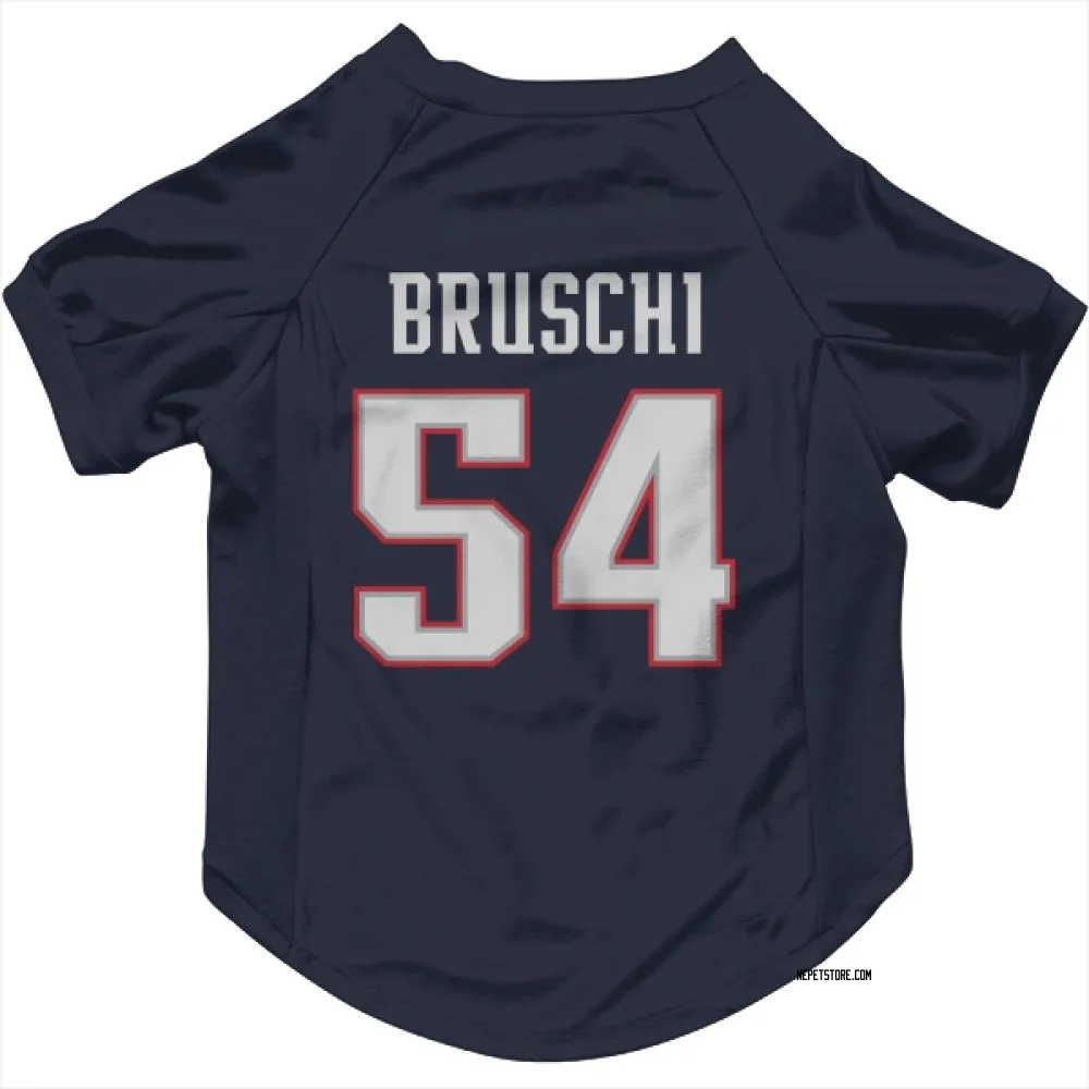 tedy bruschi jersey